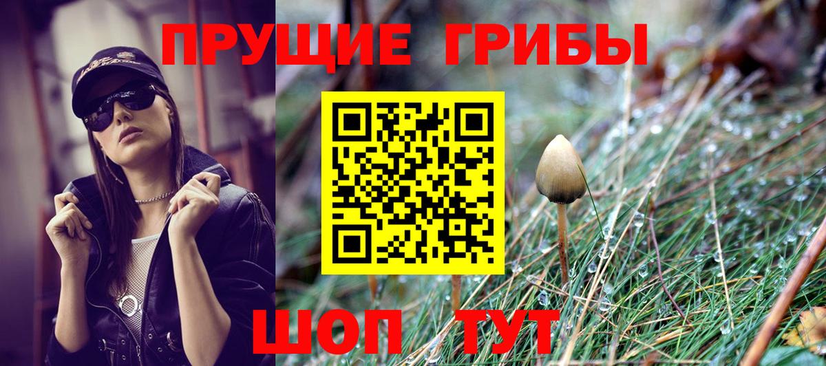 Галлюциногенные грибы прущие грибы  Псилоцибиновые грибы мухоморы  Надым  Вход с VPN 